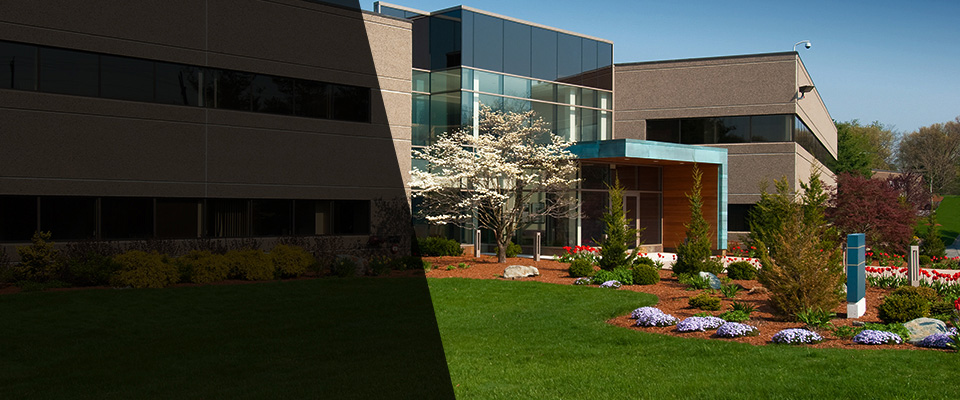 Castro Valley Landscapers