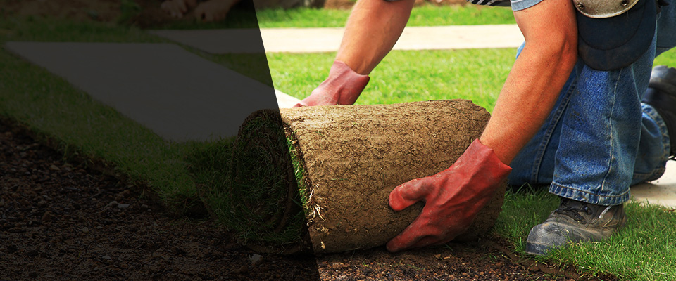 Castro Valley Landscapers
